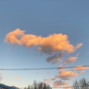 Meet your Posher, Sylvia